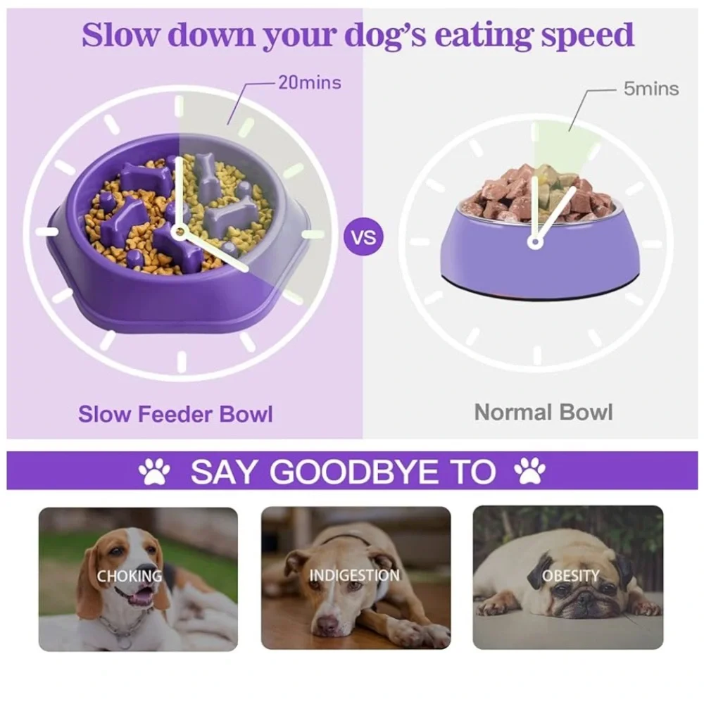 PetMate Purple Interactive Dog Feeder Bowl